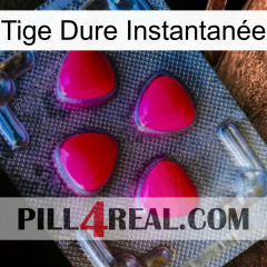 Tige Dure Instantanée 13